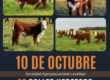 Portada del remate