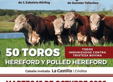 Portada del remate
