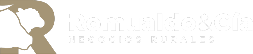 ROMUALDO & CíA.